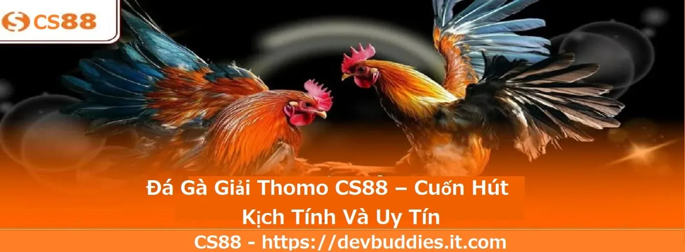 đá gà giải thomo cs88